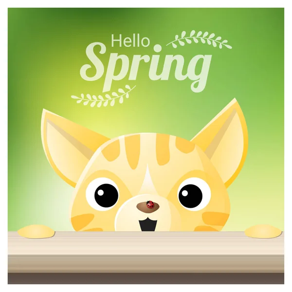 Hello Spring Season Background Cat Looking Red Ladybug Vector Illustration — Stock Vector