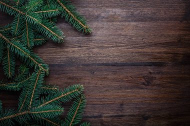 Köknar dallı Noel arkaplanı