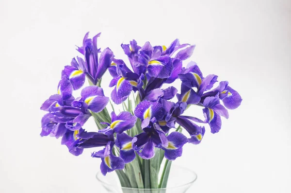 Bouquet with irises — Stock Photo, Image