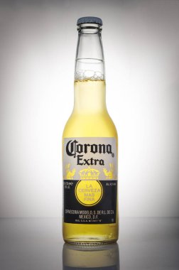 Corona ilave bira beyaz degrade arka plan üzerinde düzenleme fotoğraf