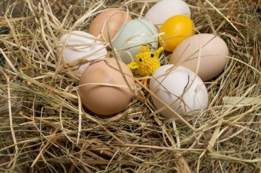 saman boncuk üzerinden keski ile Paskalya yumurtaları