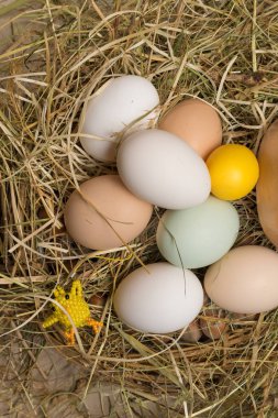 saman boncuk üzerinden keski ile Paskalya yumurtaları