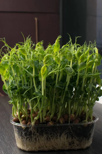 Groene asperges op tafel — Stockfoto