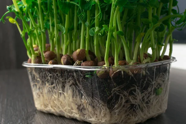 Groene asperges op tafel — Stockfoto