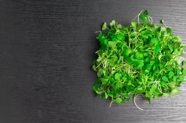 mikro salata dan yeşil roka turp lahanası