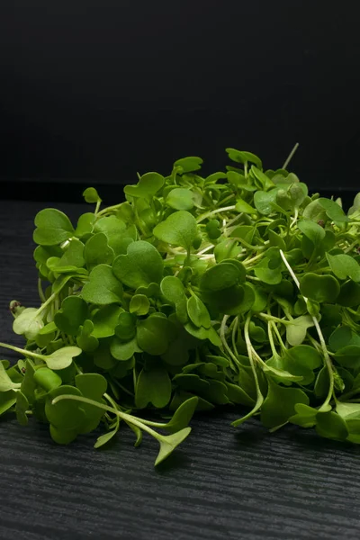 Micro salade van groene rucola, radijs spruiten — Stockfoto