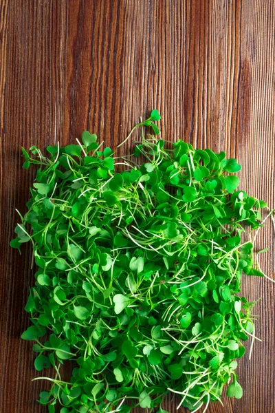 Micro salada de arugula verde, brotos de rabanete — Fotografia de Stock