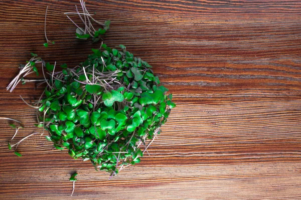 bio micro salad from red cabbage sprots on wood background