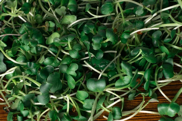 micro salad from sprouts of radish and arugula