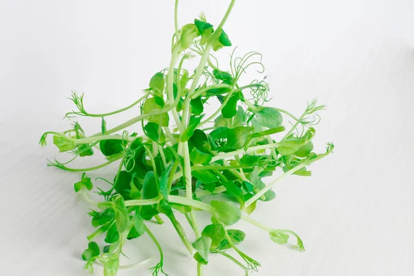 organic pea tendrils isolated in white background