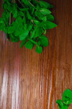 Taze biber nane ve melissa ahşap üzerine