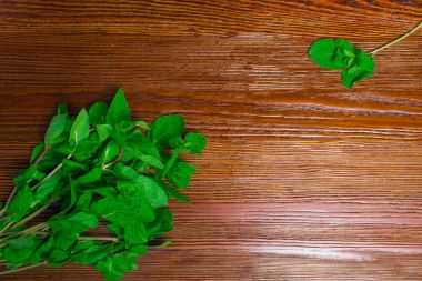 Taze biber nane ve melissa ahşap üzerine