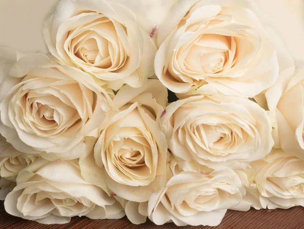 Zarte Rosen. schöne Rosen. romantisch. — Stockfoto
