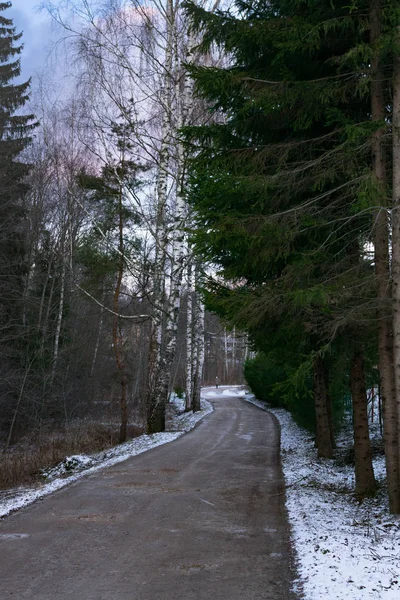 Camino a la distancia. Silencio de invierno. En el camino ir persona . — Foto de Stock