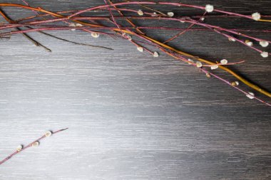 Siyah ahşap zemin üzerine Kukum dalları. Willow erken ilkbaharda çırpı. Paskalya tatili