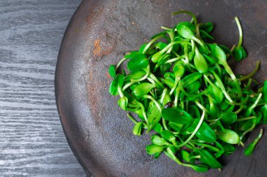 sağlıklı yeşil taze vurdu, koyu arka plan üzerinde yeşillik