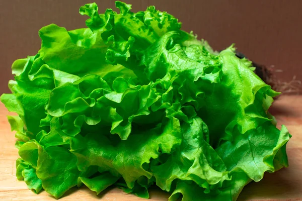 Taze organik letucce kafaları yığını. Taze kesilmiş yeşil salata yığını hasat tahta masada bırakır. Temiz kavramı yeme. Sağlıklı vejeteryan diyet yiyecek. Arka plan, yakın çekim, görünümü ana sayfa.