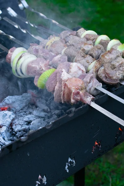 Pieczenie kebab Shish na grillu. Impreza grillowa. Zbliżenie. — Zdjęcie stockowe