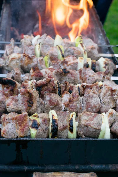 Pieczenie kebab Shish na grillu. Impreza grillowa. Zbliżenie. — Zdjęcie stockowe