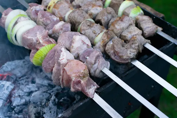 Shish Kebab Pieczenia Grillu Grill Party Szczelnie Góry Grill Cebulą — Zdjęcie stockowe