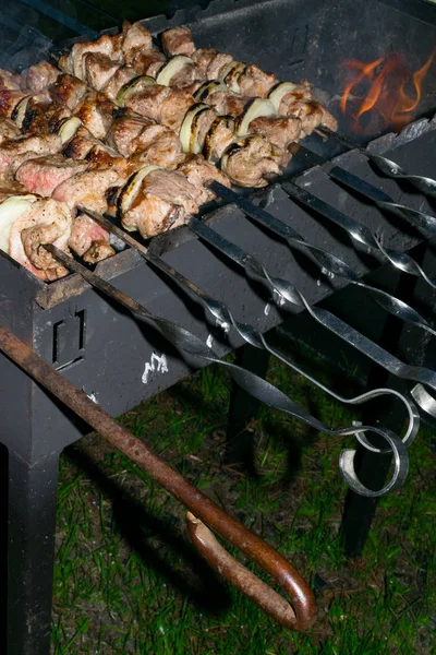 Shish carne kebab no espeto de metal está assando na grelha. Festa de churrasco. Close-up. Churrasco com cebola. Temporada de Barbucue — Fotografia de Stock