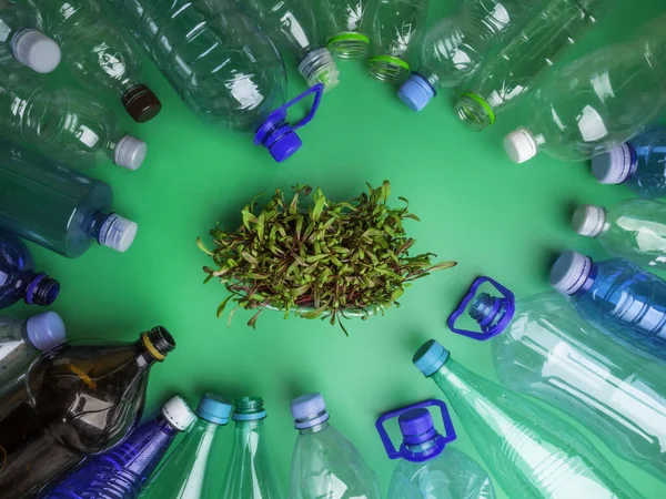 plastic bottles and green microgreens, leaves, Recycle waste management and save the planet concept