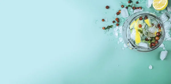 레모네이드 는 소다 수, 감귤 류, 민트 조각, 박하 잎, 붉은 크랜 베리와 얼음을 마신다. 비타민 C 가풍 부 한 건강하고 청량 음료 — 스톡 사진