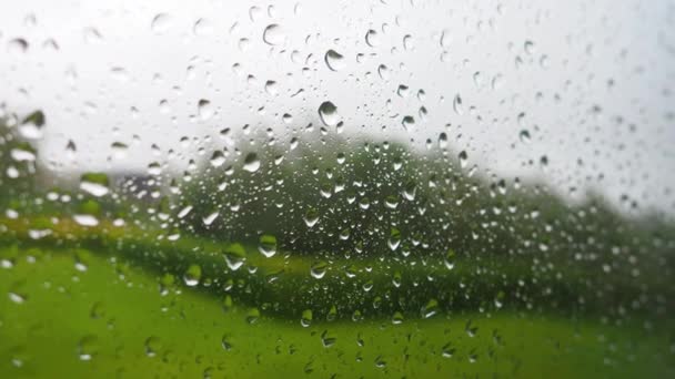 Vista desde la ventana sobre gotas de agua de lluvia cayendo sobre vidrio, y visión borrosa sobre árboles verdes de verano, lluvia corriendo por la ventana. Temporada de lluvias, otoño . — Vídeo de stock