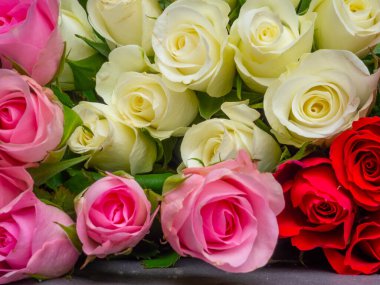 Renkli çiçeklerden bir buket, çok renkli güllerin kompozisyonu. Kartpostal, yabani otlar, 14 Şubat konsepti, seçici odak