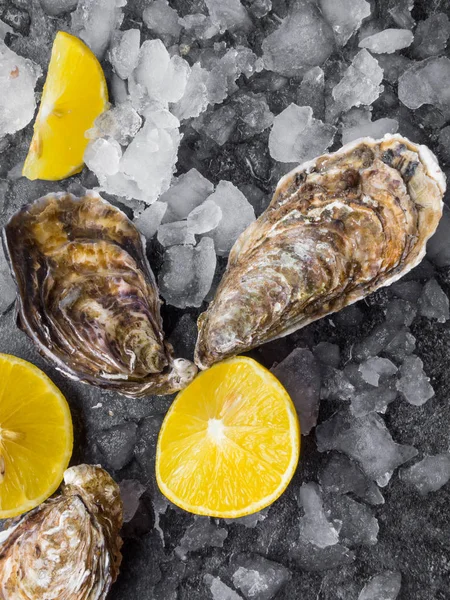 Verse rauwe oesters op ijs met citroenschijfjes, slakkensoort van de Atlantische Oceaan — Stockfoto