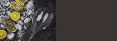 Şarap ya da şampanya için limonlu taze istiridye.