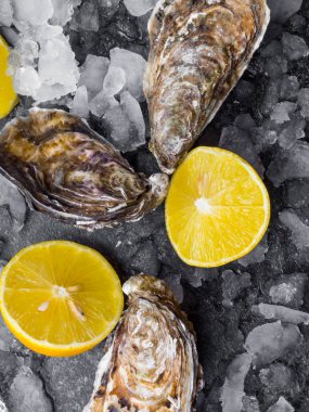 Limon dilimli taze çiğ istiridye, Atlantik Okyanusu yumuşakçaları.