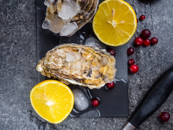 Ostriche fresche in ghiaccio con limone, mirtilli rossi, coltello su tavolo di pietra, vista dall'alto — Foto Stock