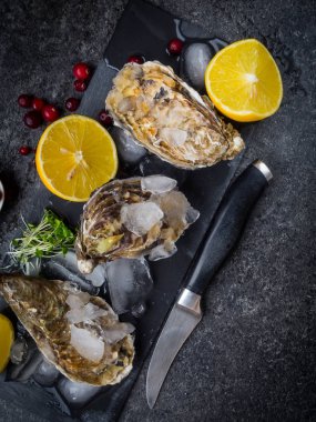 Limonlu taze istiridye, yaban mersini, taş masadaki bıçak, üst manzara.