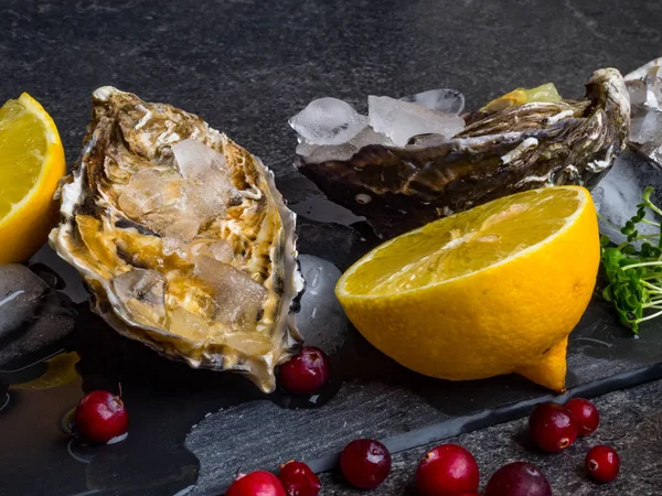 Fresh oysters in stone slate with ice, cranberries, lemon slices, delicatessen expensive food, rich in zinc, antioxidants, vitamin — Stockfoto