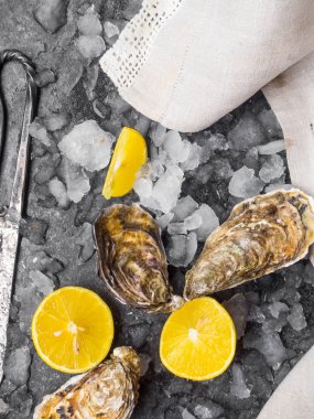 Limon dilimli taze çiğ istiridye Atlantik Okyanusu yumuşakçaları keten havluyla