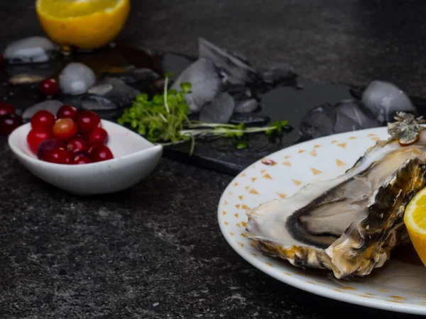 Verse oesters in bord, citroen, schelpen op marmer. Delicacy superfood, rijk aan antioxidanten, vitamine, zink — Stockfoto