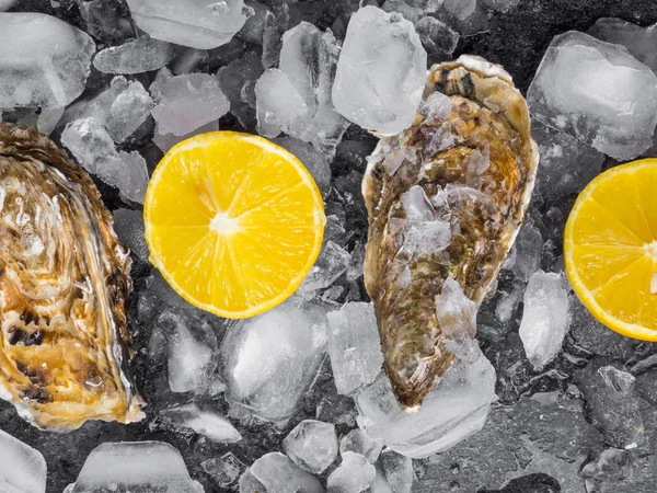 レモンスライスの生牡蠣大西洋の軟体動物 — ストック写真