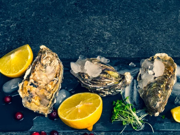 Fresh oysters in stone slate with ice, cranberries, lemon slices, delicatessen expensive food, rich in zinc, antioxidants, vitamin — Stock Photo, Image