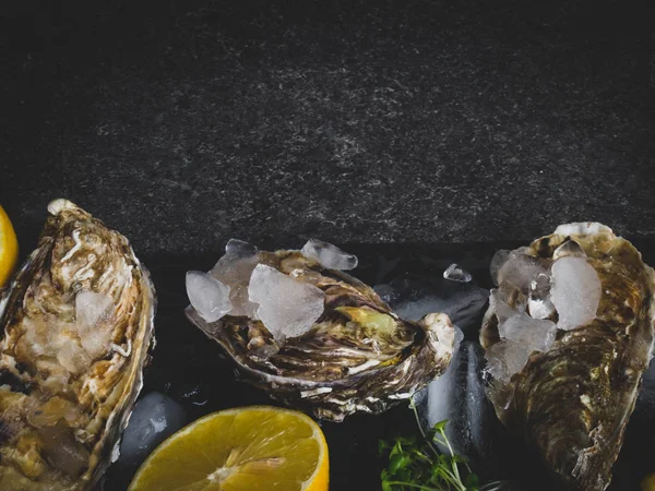 Buzlu taze istiridye, limon dilimleri, şarküteri pahalı yemekler, çinko, antioksidan ve vitamin açısından zengin. — Stok fotoğraf