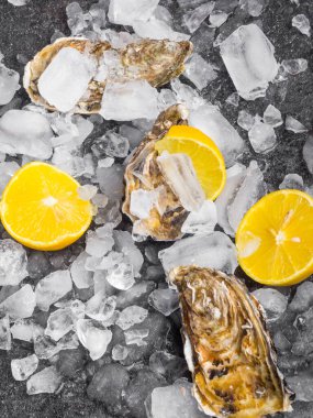 Limon dilimli taze çiğ istiridye, Atlantik Okyanusu yumuşakçaları.