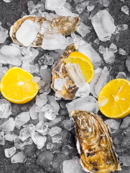 Limon dilimli taze çiğ istiridye, Atlantik Okyanusu yumuşakçaları.