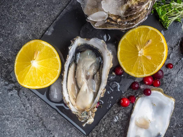 Ostras frescas en pizarra de piedra con hielo, arándanos, rodajas de limón, delicatessen alimentos caros, ricos en zinc, antioxidantes, vitaminas — Foto de Stock