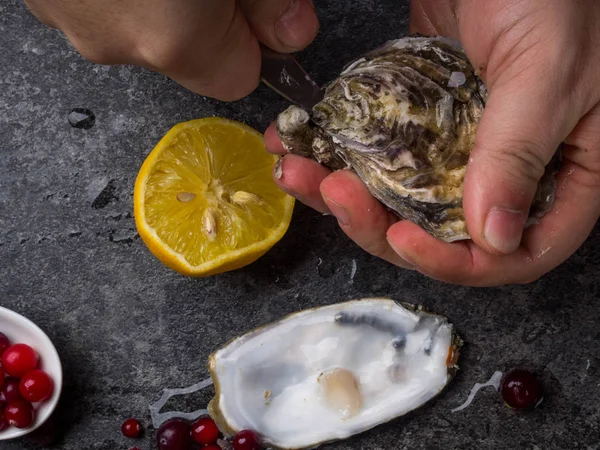 Een man met een mes opent een verse oester. Donkere stenen achtergrond met citroen, ijs, bessen, selectieve focus. — Stockfoto