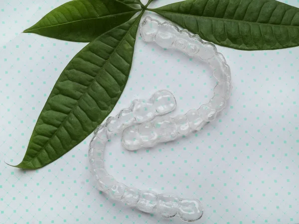 Orthodontic clear aligner to straighten teeth, Clear plastic invisible teeth aligners with green leafs. Environment friendly device top view. Green good plastic concept. — Stock Photo, Image