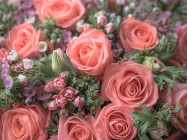 Blurred Beautiful bouquet of coral roses. Valentines Day, wedding or Mother day background. Fowers present. Big bunch — Free Stock Photo