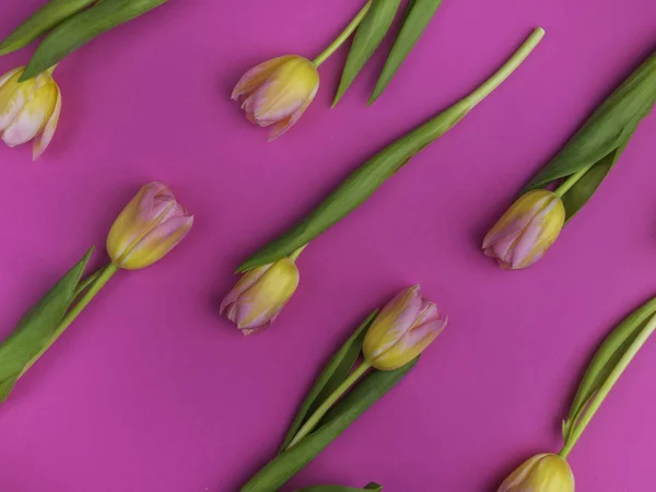 Yellow tulips pattern on pink background
