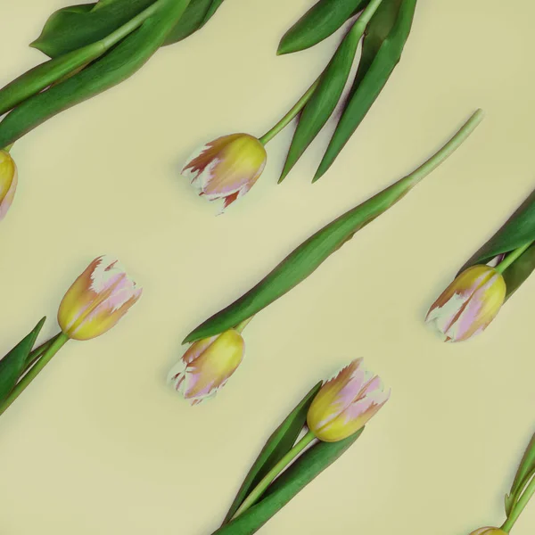 Floral pattern of tulip on yellow background. Flat lay