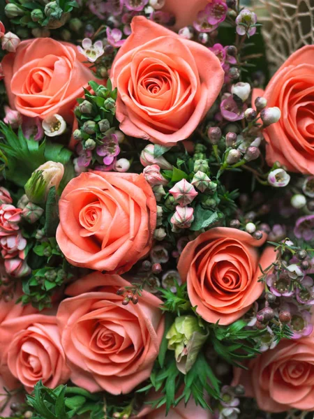 Niewyraźne Piękne Żywe Koralowe Róże Bukiet Kwiatów Romantyczny Związek Kwiatowy — Zdjęcie stockowe