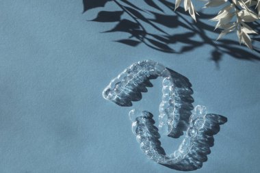 Modern diş saydam hizalayıcılar ya da diş telleri kozmetik dişçiliğinde dişleri düzeltmek ve mavi arka planda moda çiçek gölgesi olan ortodonti, kopyalama alanı